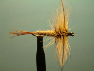 Grey Wulff Mayfly (12)